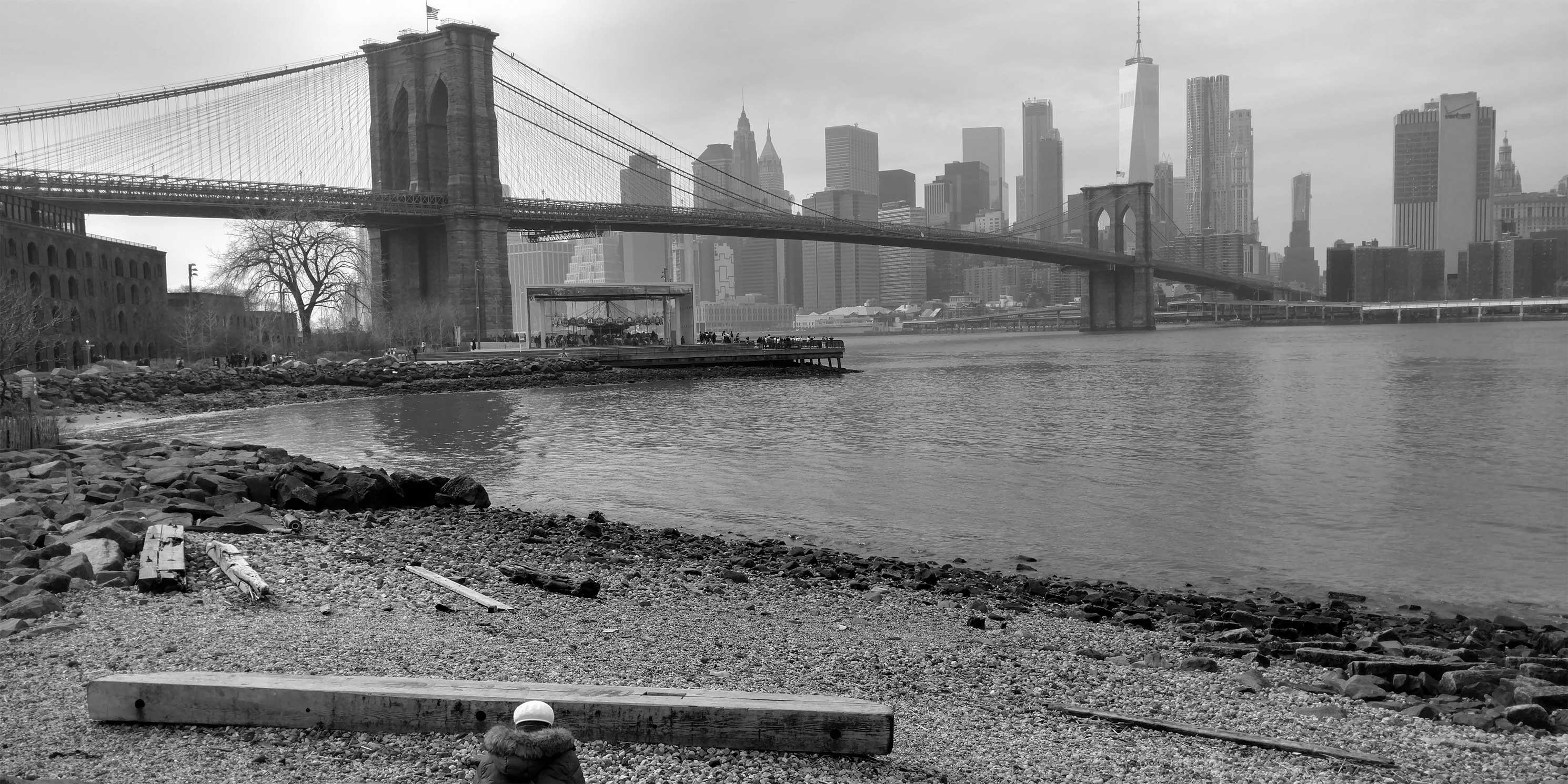 Brooklyn Bridge and Jane's Carouse below it