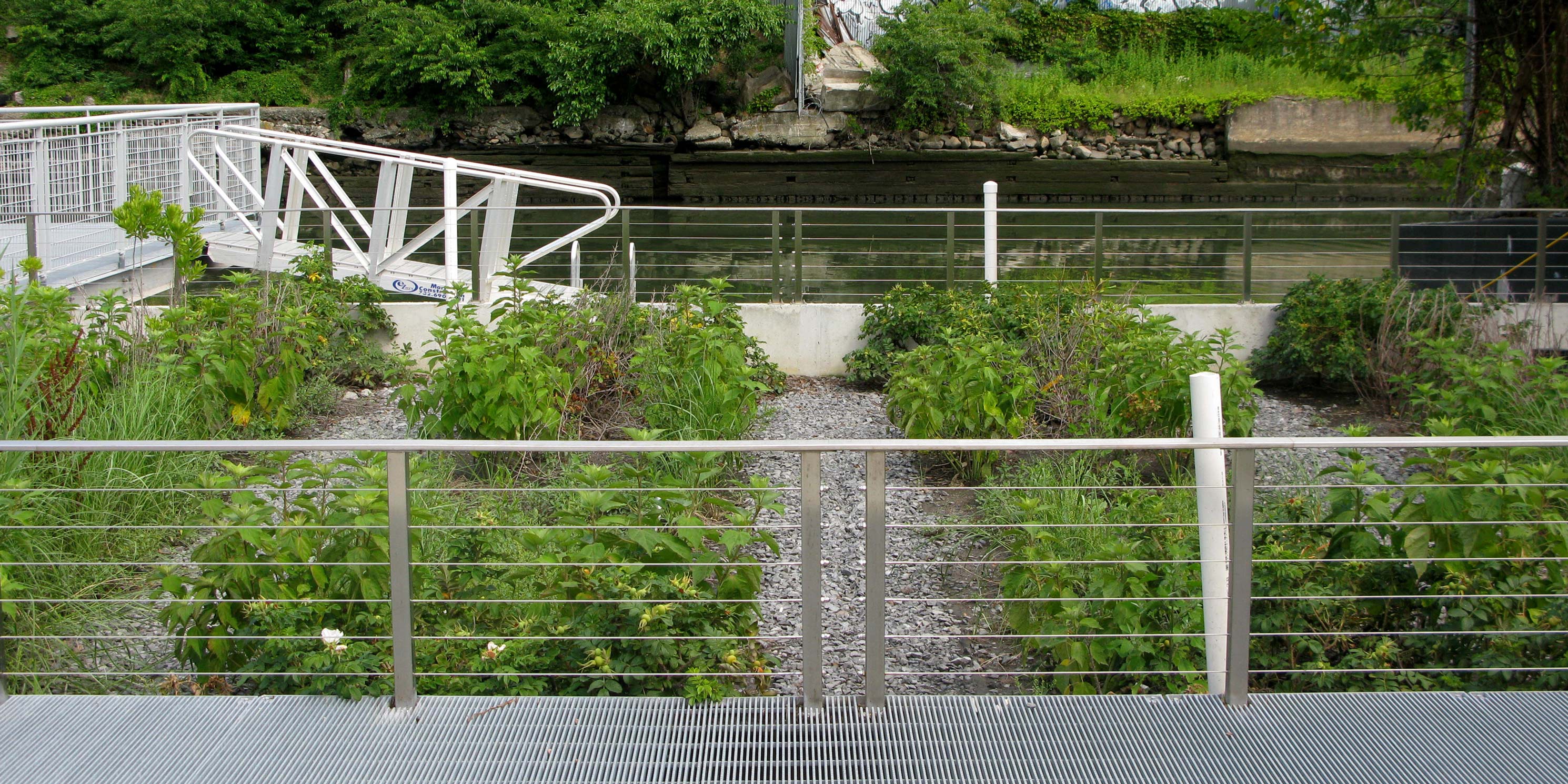 shrub beds at the Gowanus Sponge Park