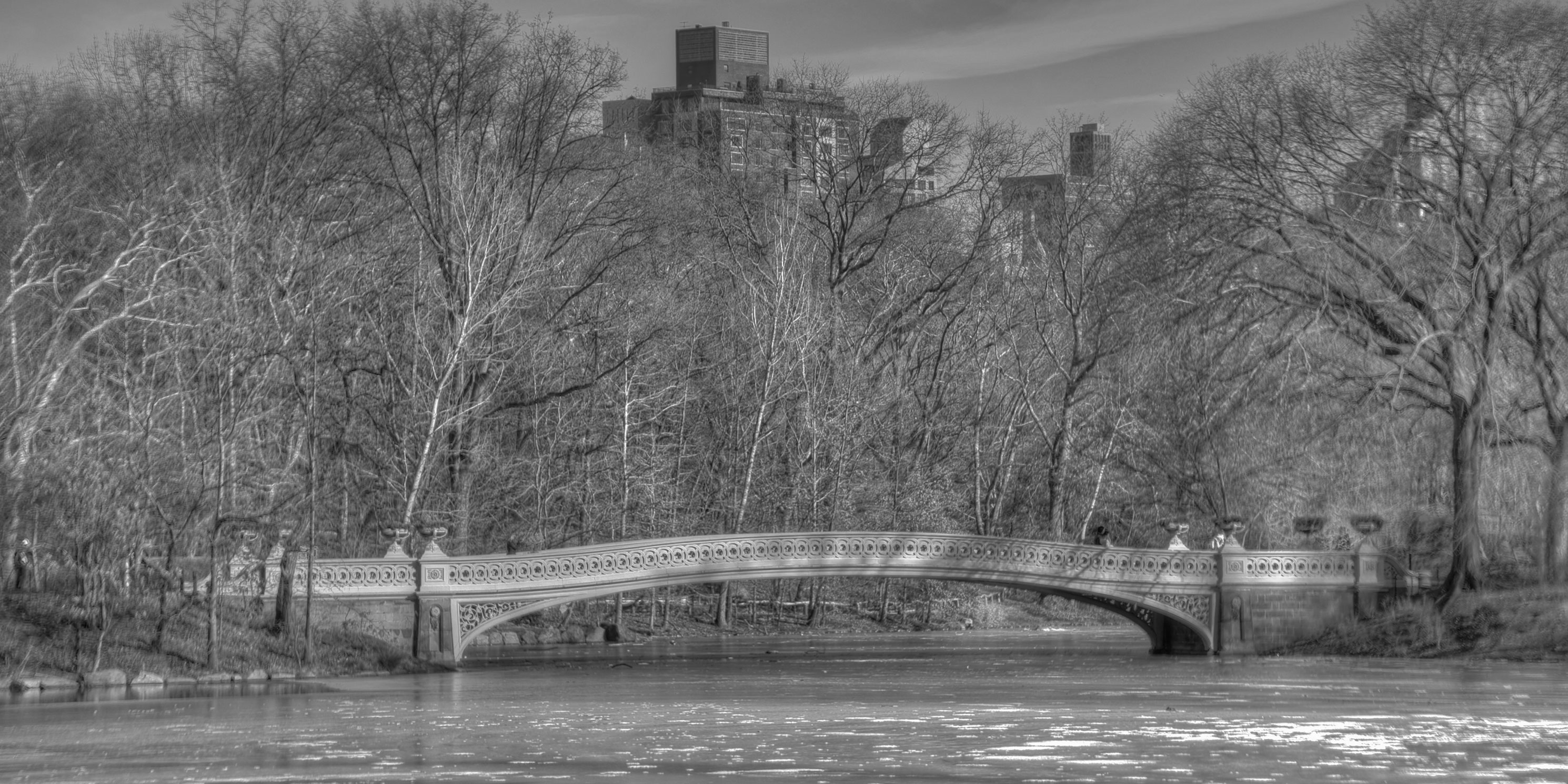 Bow Bridge in Central Park during winter