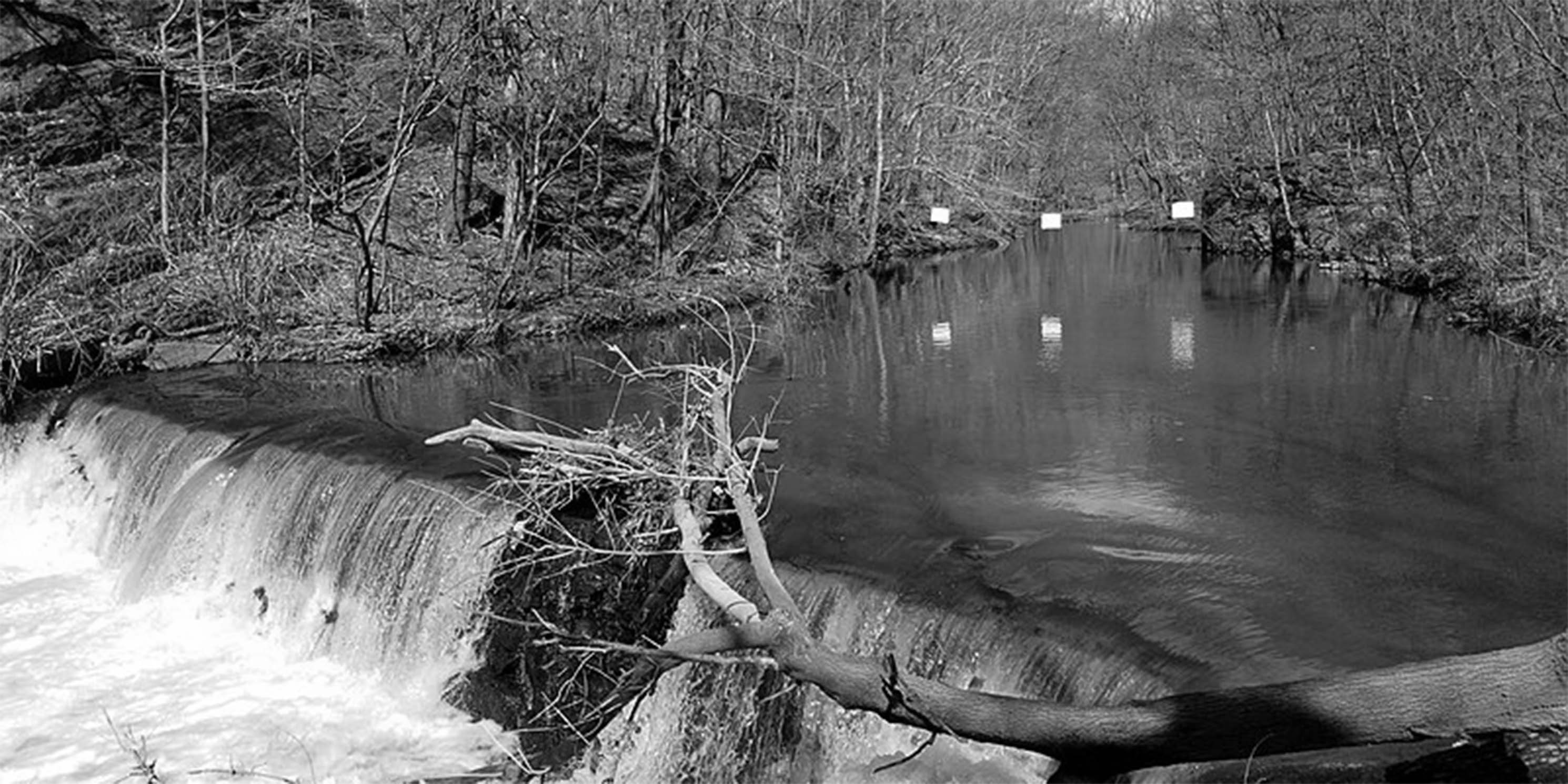 waterfall on the Bronx River