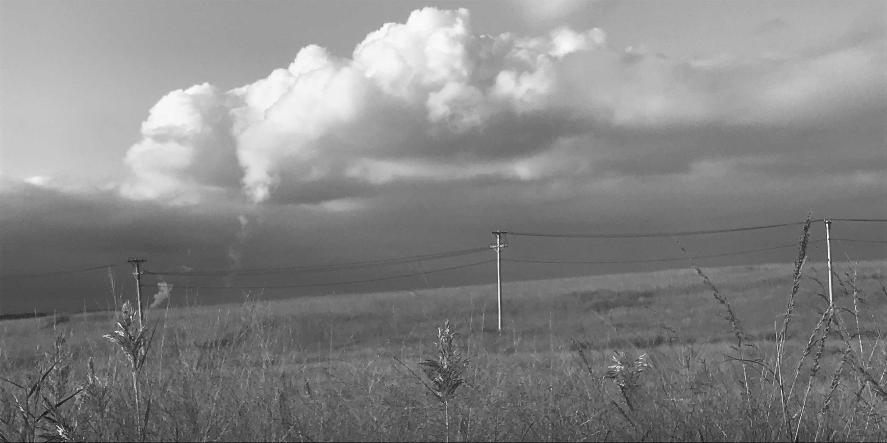 Large field at Fresh Kills Park with power lines running across it