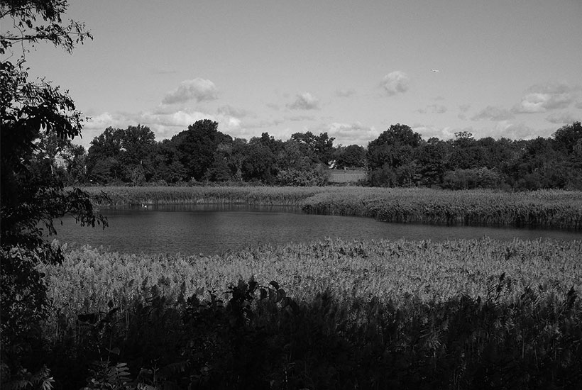 Ridgewood Reservoir MAS