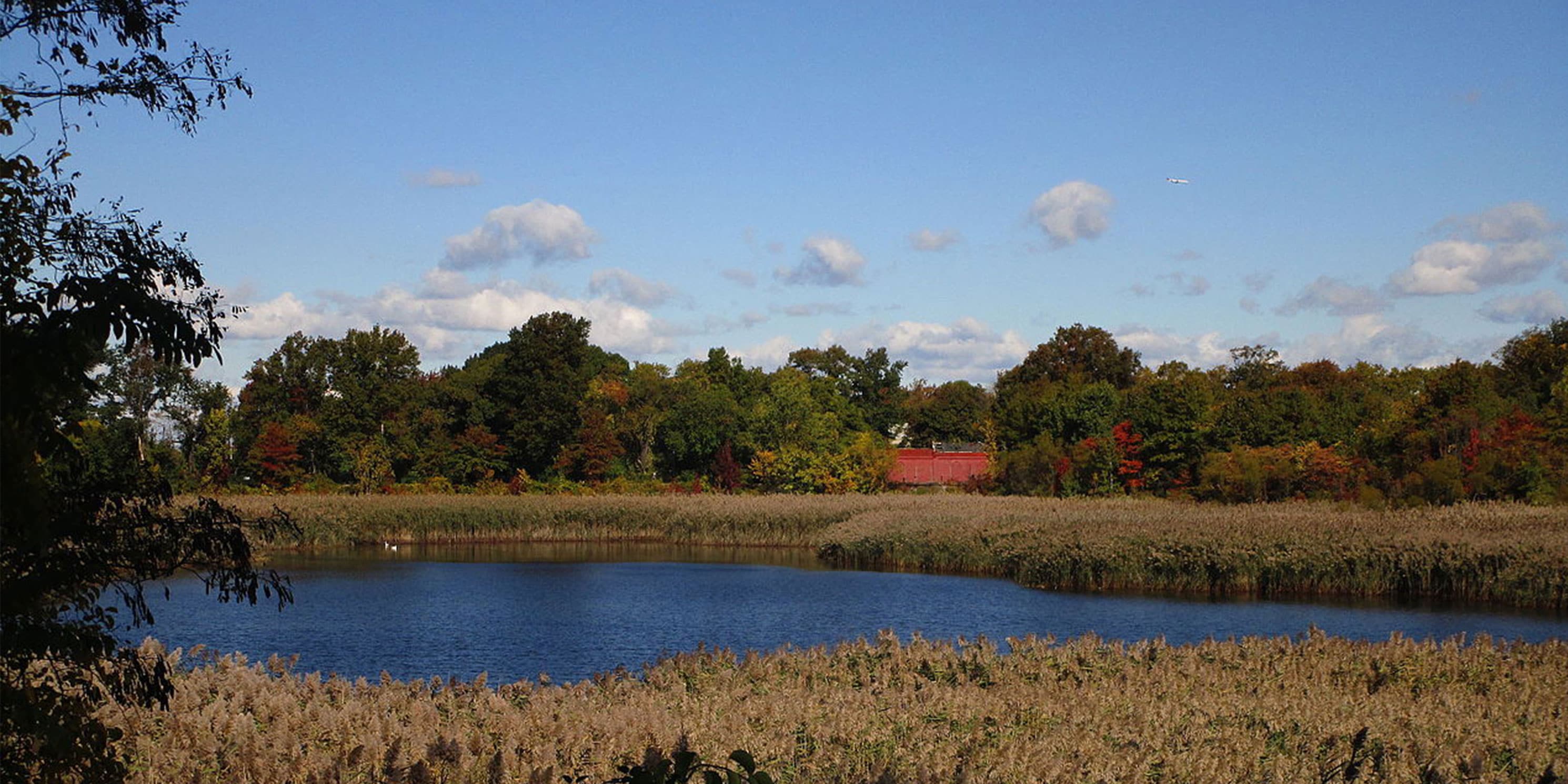 The second basin of the Ridgewood Reservoir