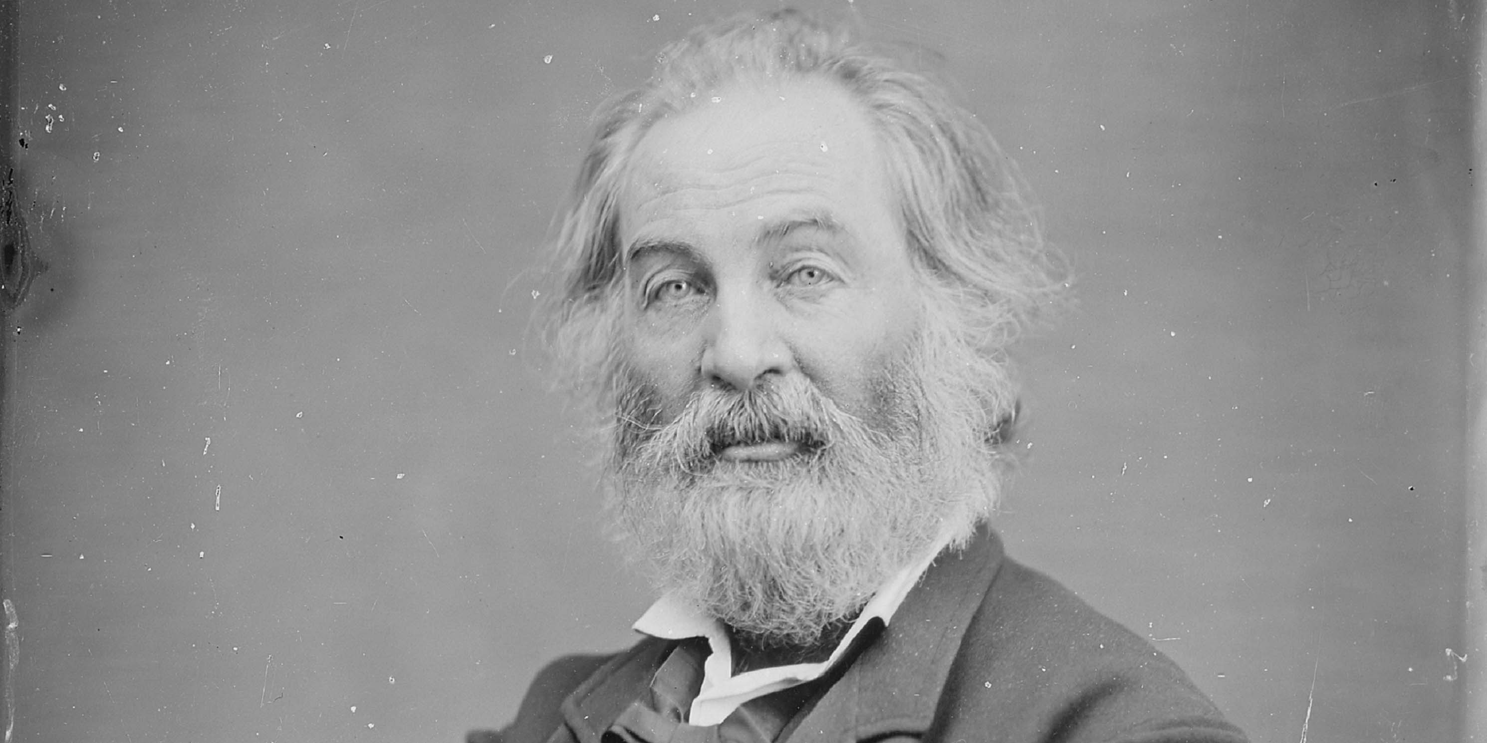 Portrait of Walt Whitman by Matthew Brady