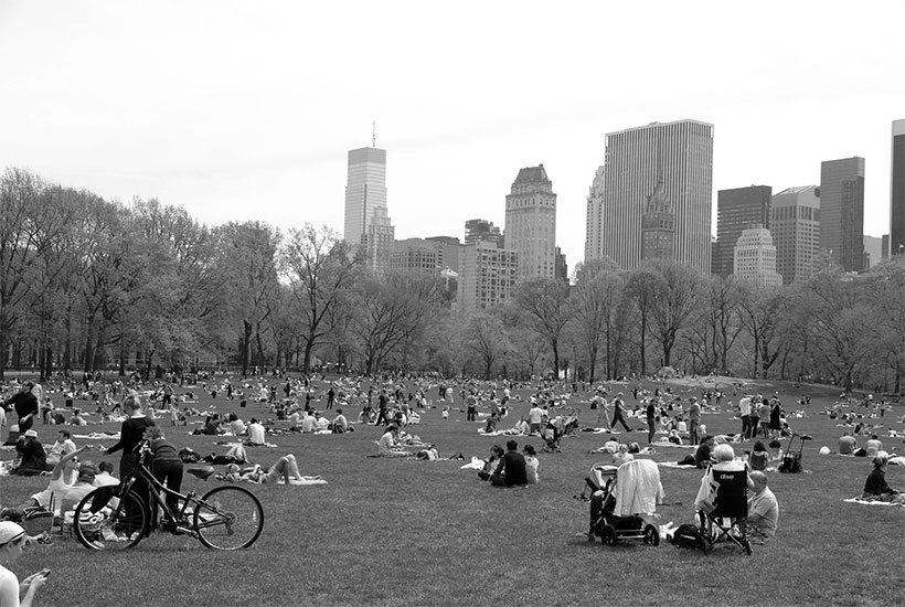 Sheep Meadow in Central Park in warm weather