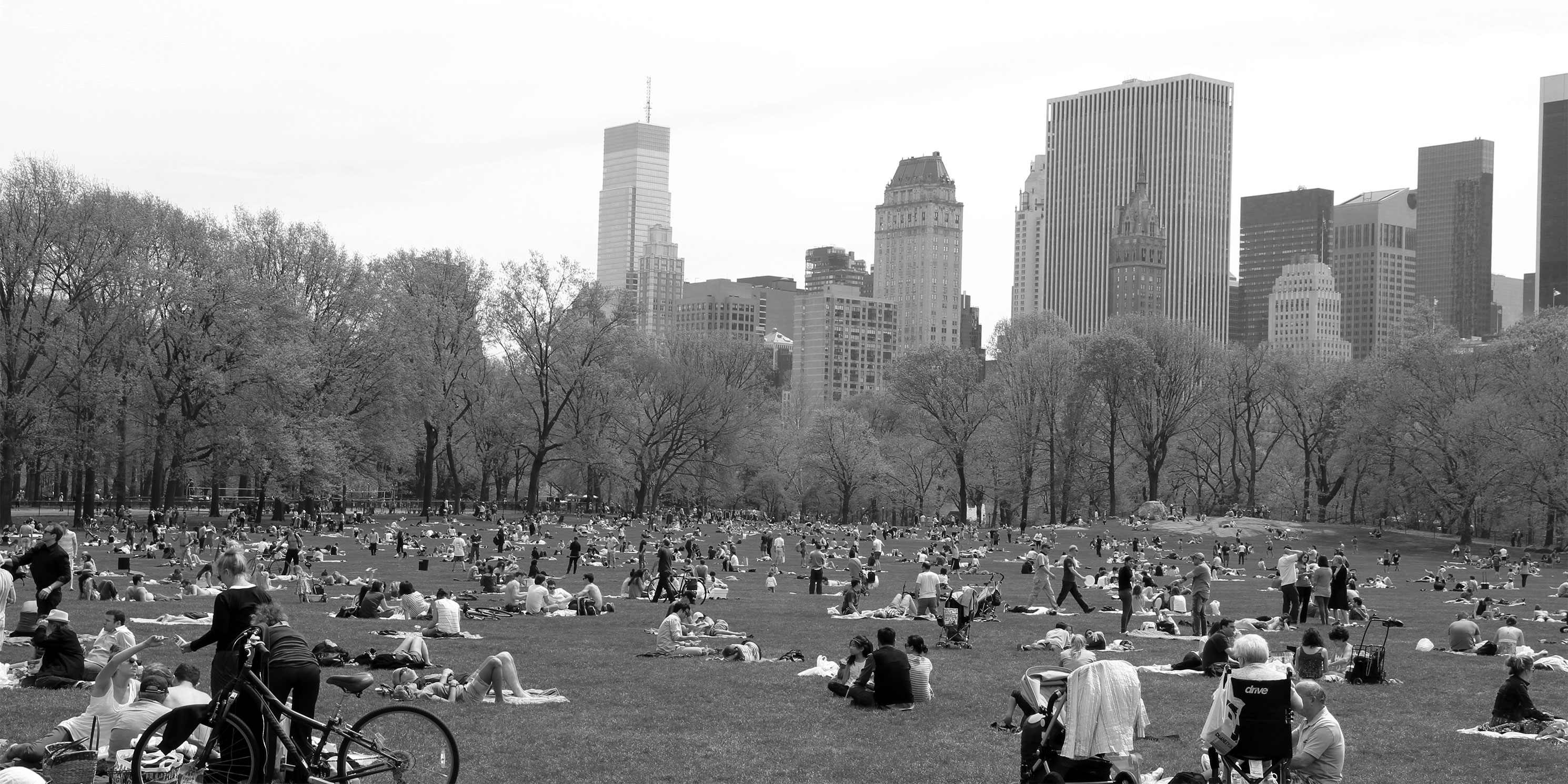 Sheep Meadow in Central Park in warm weather