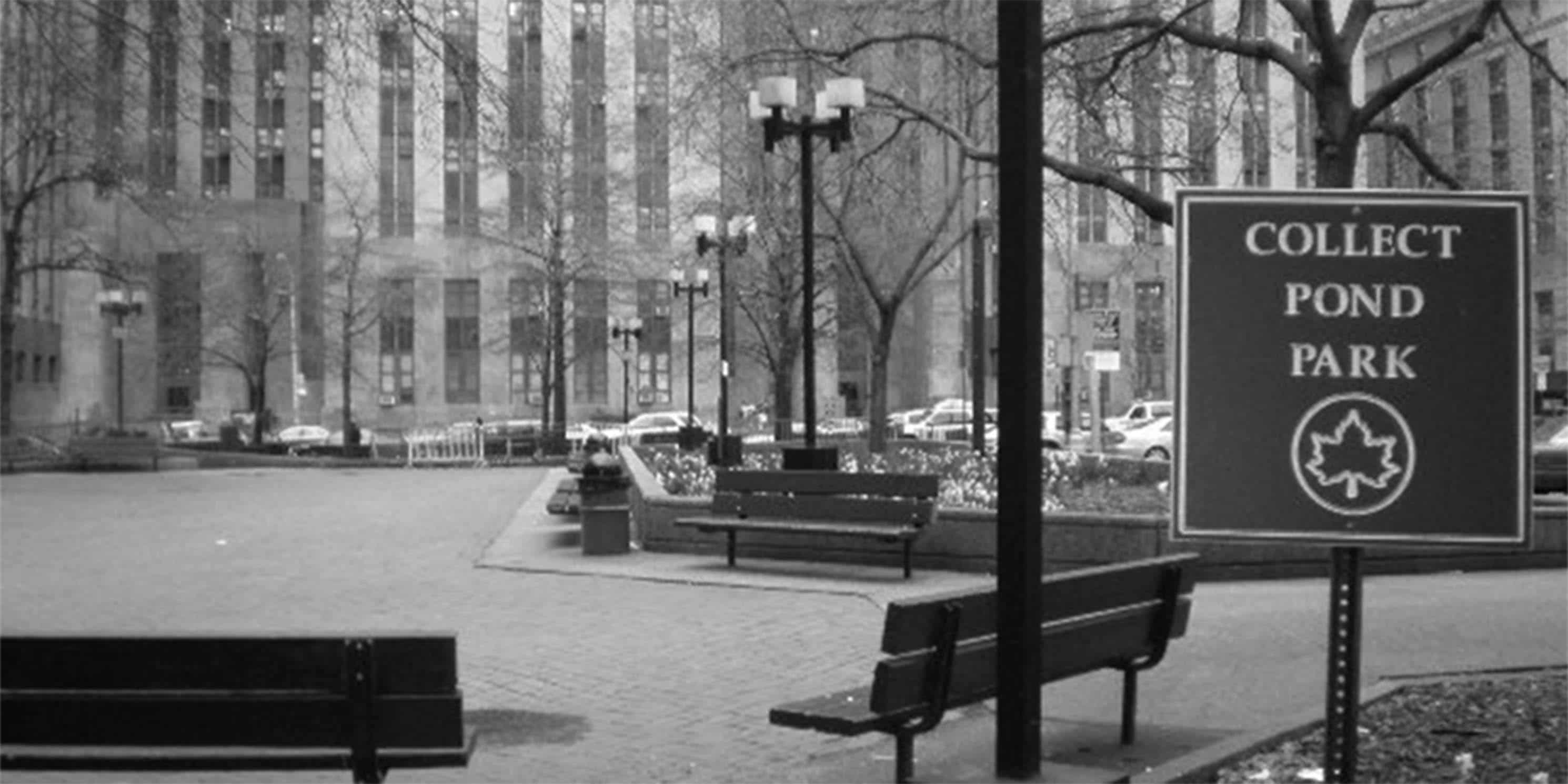 main entrance to Collect Pond Park