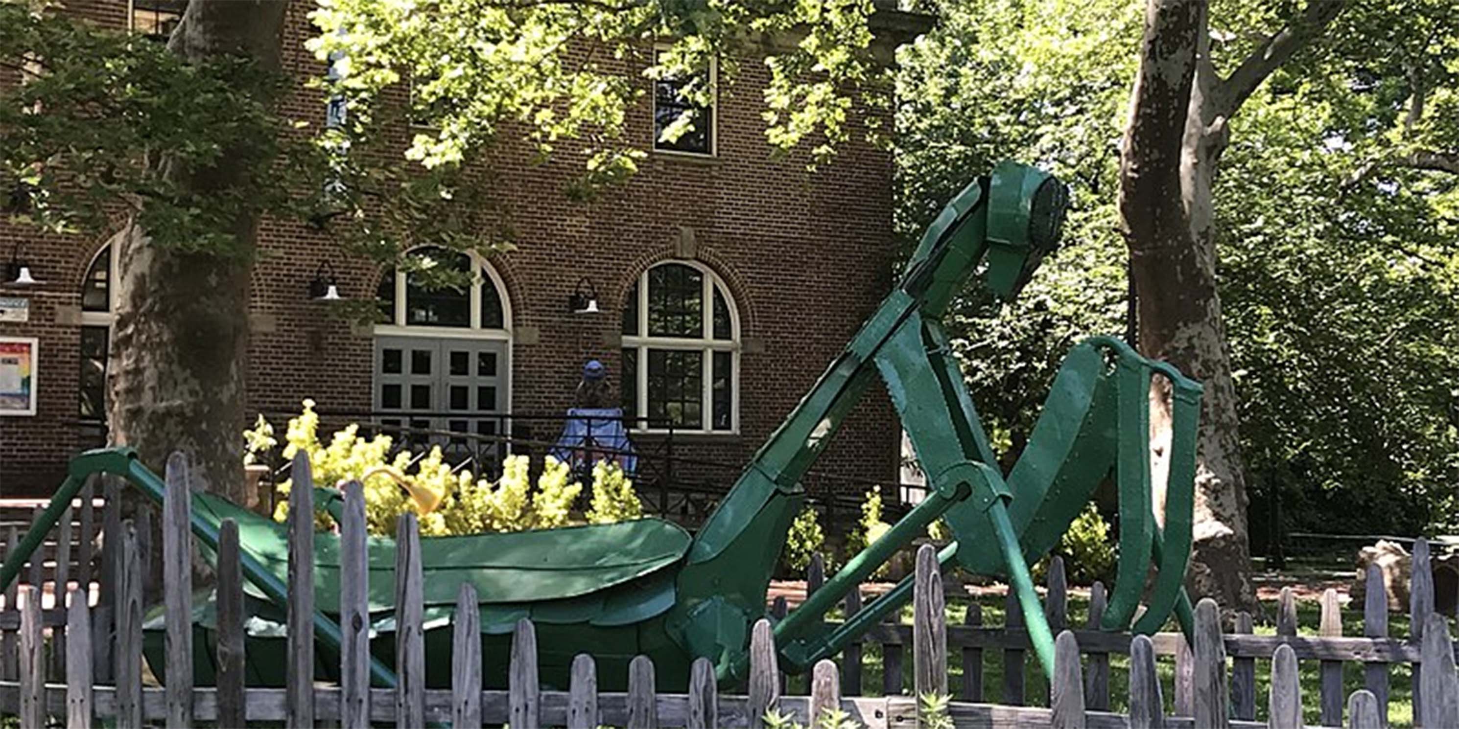 Francis the Praying Mantis from the Staten Island Children's Museum