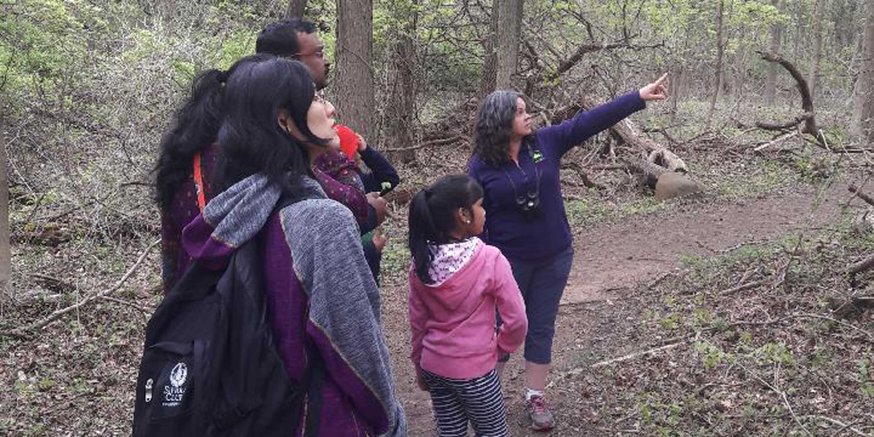 people walk through a wooded area during a Jane's Walk