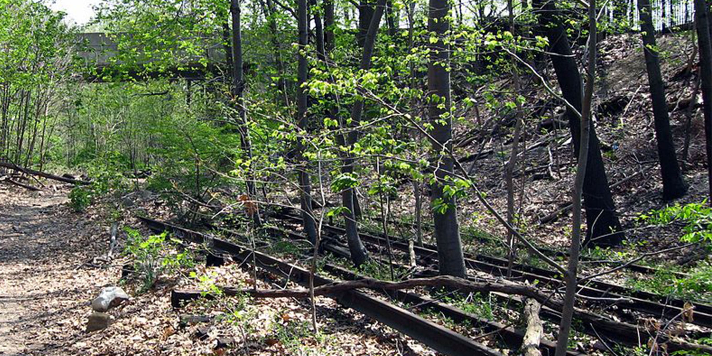 abandoned railroad tracks from the Long Island Railroad's Rockaway Beach Branch