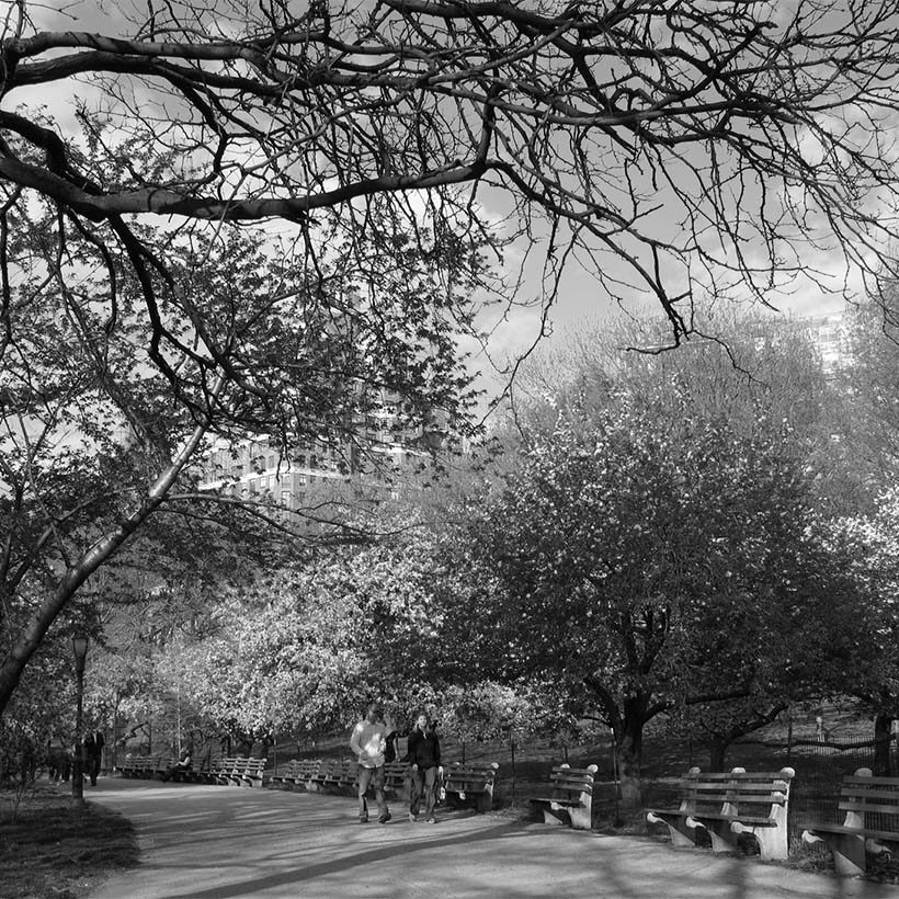 Riverside Park, New York City