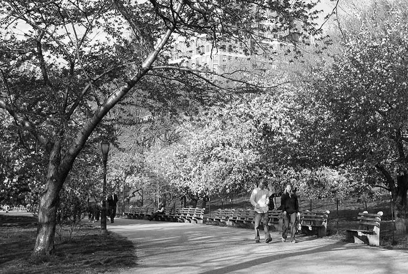 Riverside Park, New York City