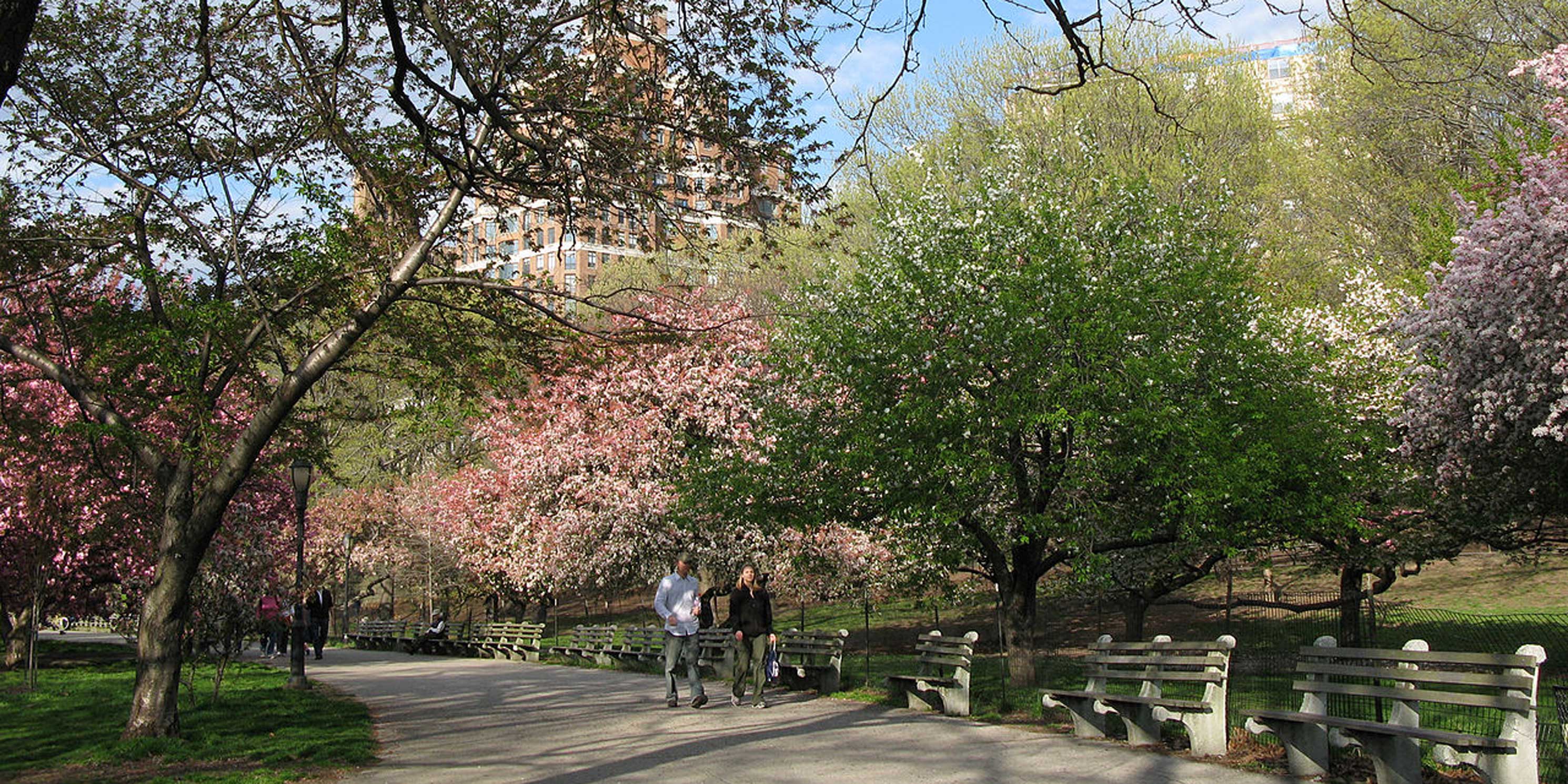 Riverside Park, New York City