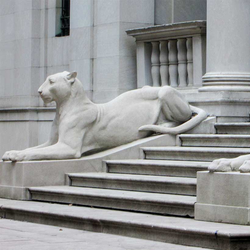 lion statues outside the Morgan Library and Museum