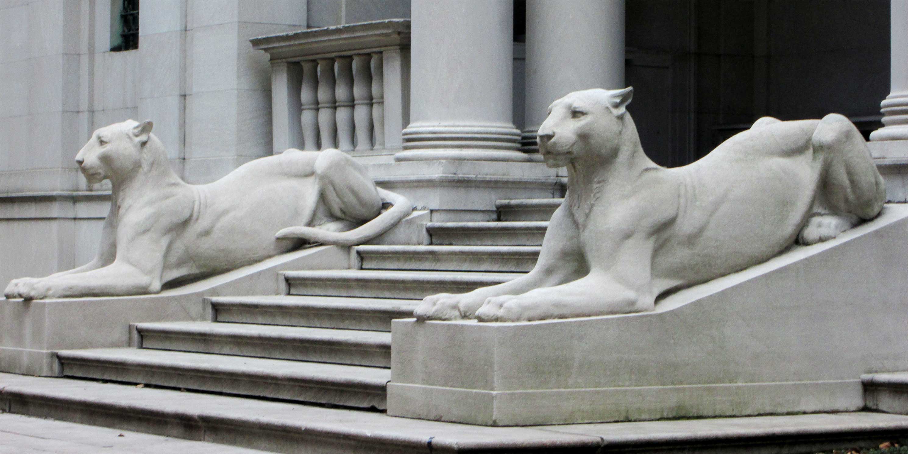 lion statues outside the Morgan Library and Museum