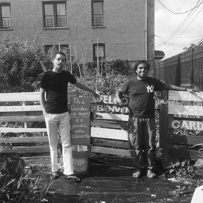 Volunteers at the Morning Glory Community Garden in the Bronx