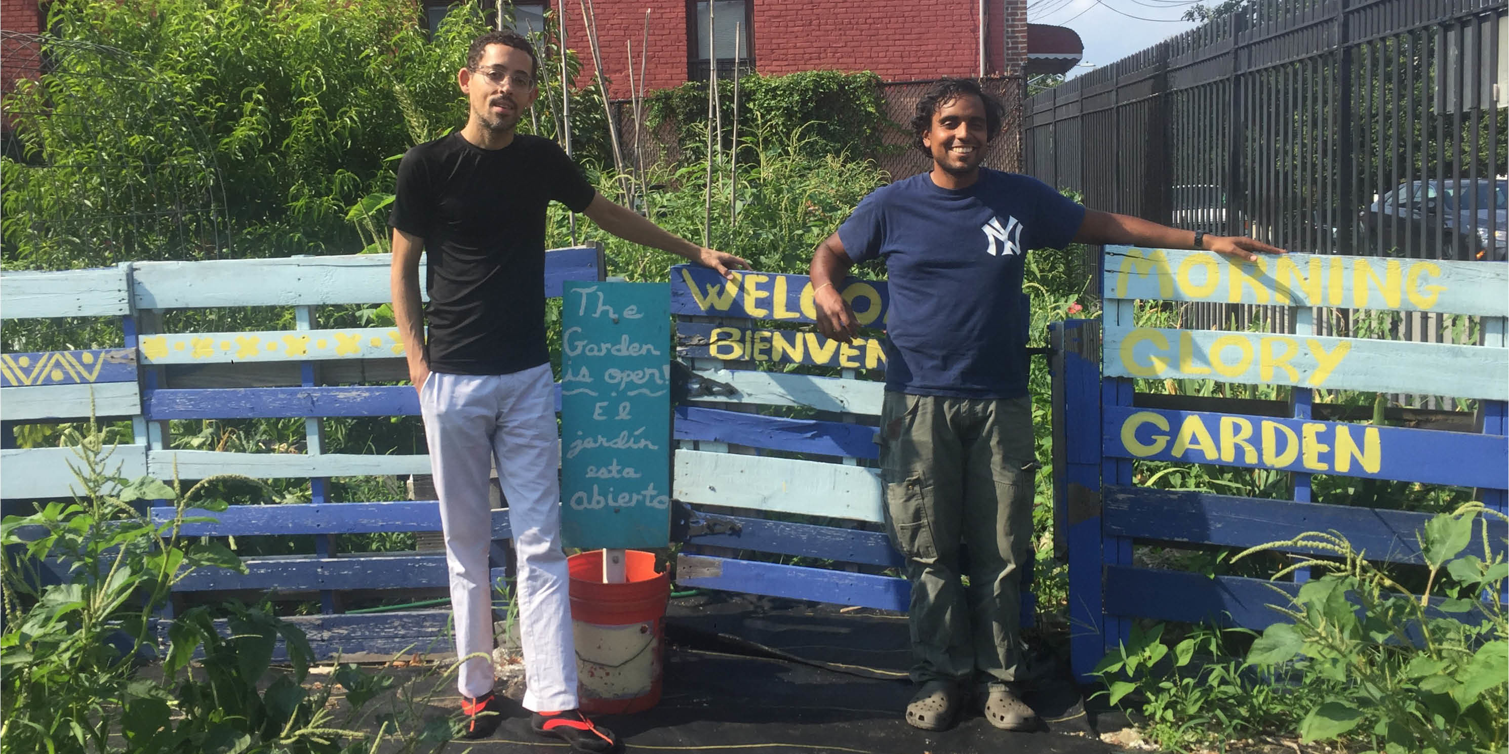 Volunteers at the Morning Glory Community Garden in the Bronx