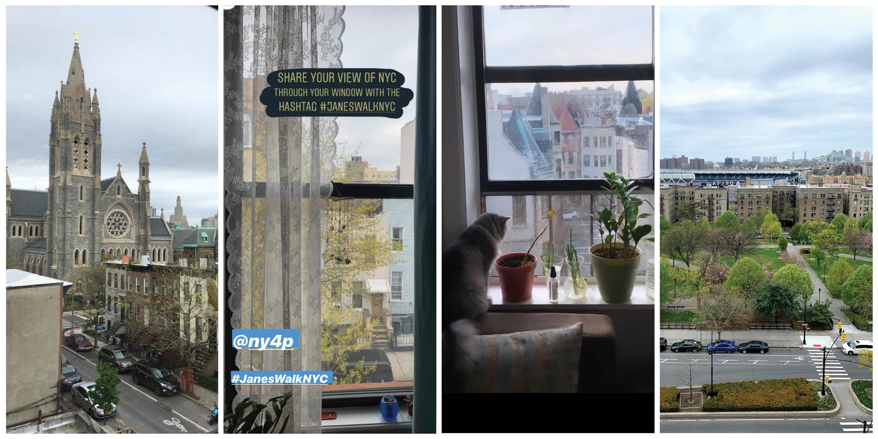 collage of view from people's windows