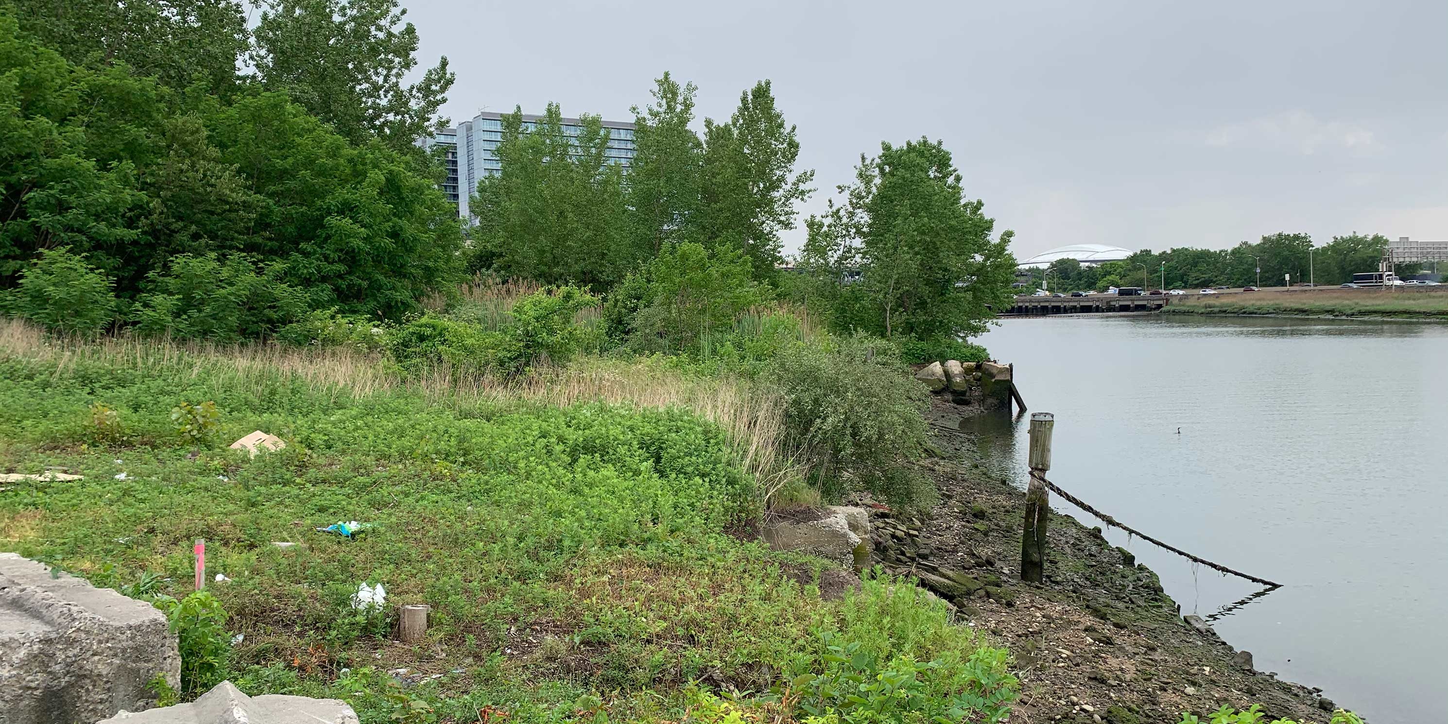 dilapidated and overgrown Flushing Creek shoreline in Flushing, Queens