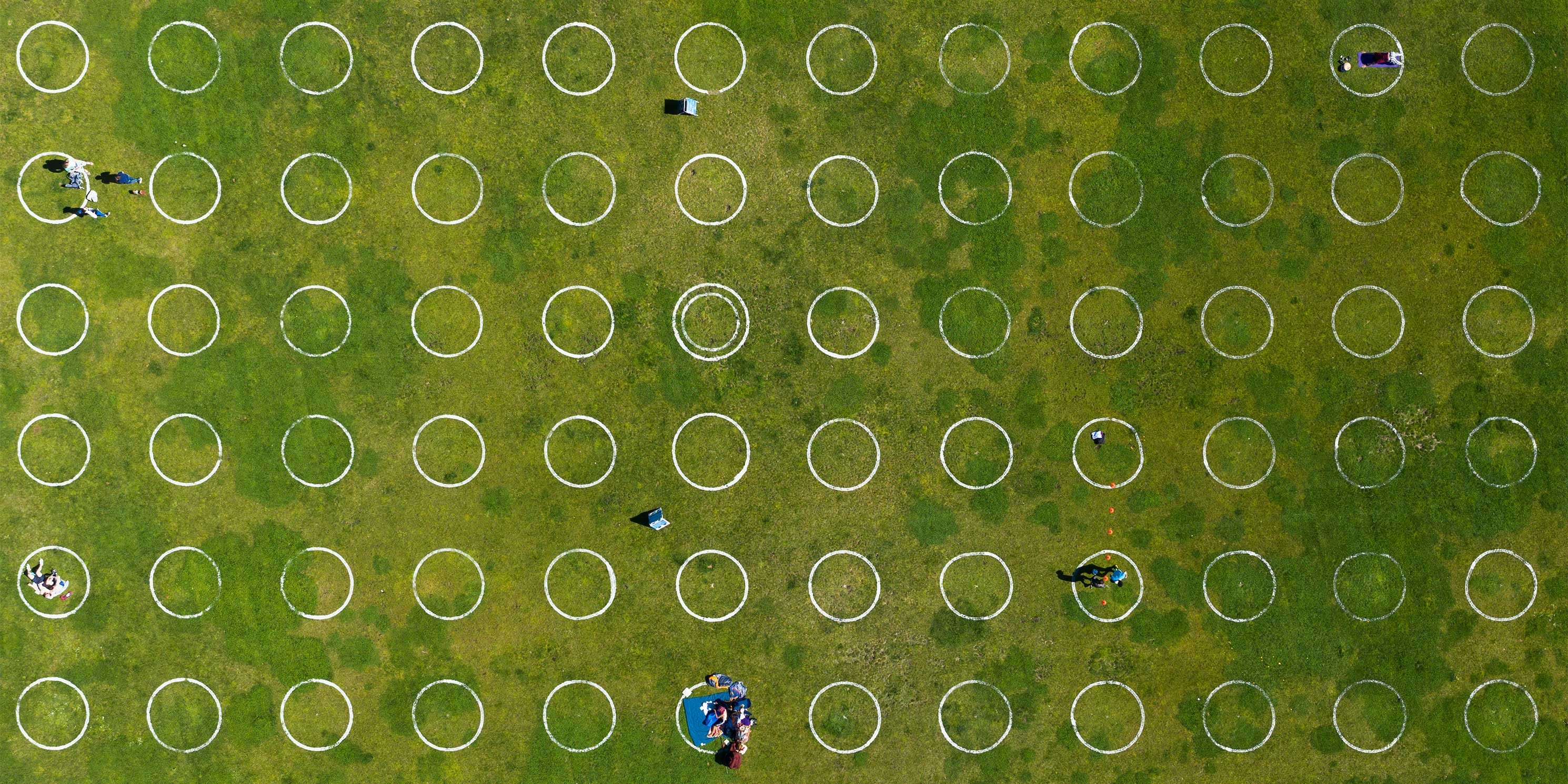 grass with COVID circles to separate park goers