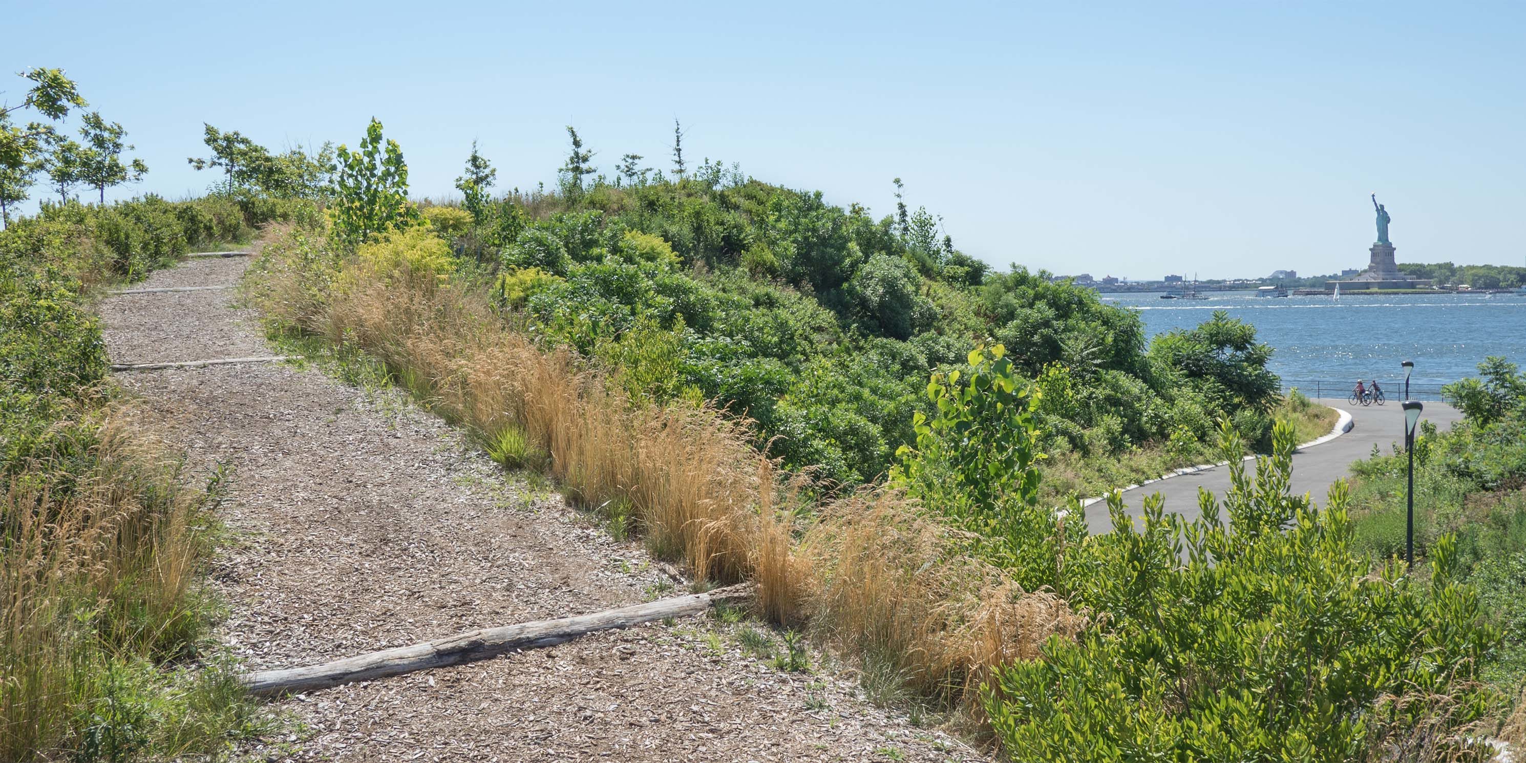 a walking path on Governors Island